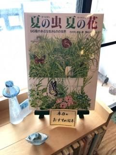 夏の虫 夏の花
