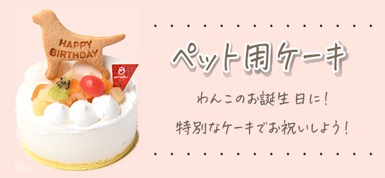 北海道札幌のペット用品犬のおやつの通販ショップ ハミングドッグ 犬・猫ペット用ケーキ