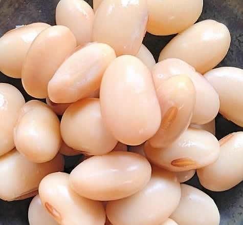 ふっくら蒸大豆【大分県産蒸大豆150g入り~ホクホク大豆 ふっくら蒸大豆【大分県産蒸大豆150g入り~ホクホク大豆