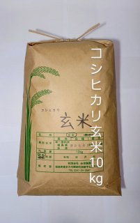 令和4年 会津・喜多方産 コシヒカリ（玄米） 10kg