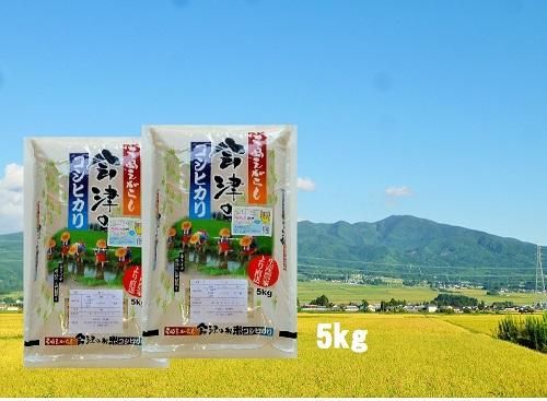 令和6年 会津・喜多方産 コシヒカリ(白米) 5kg - 【会津 令和6年 会津・喜多方産 コシヒカリ(白米) 5kg - 【会津