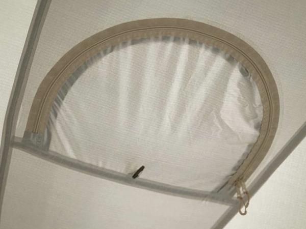 THE FREE SPIRITS SKY DOME - STANDARD point