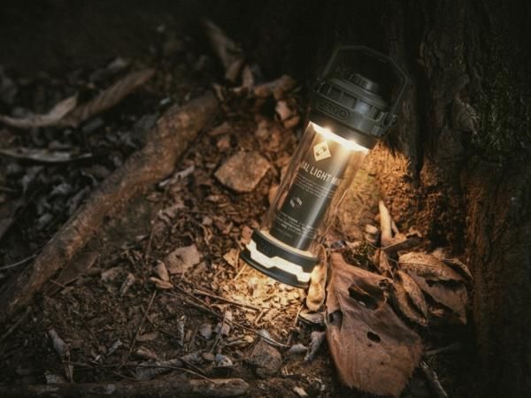 CARGO CONTAINER（カーゴコンテナ）DUAL LIGHT MINI - STANDARD