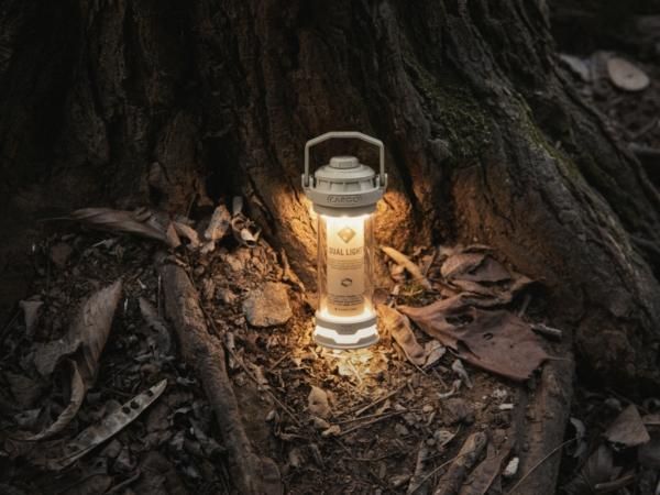 CARGO CONTAINER（カーゴコンテナ）DUAL LIGHT MINI - STANDARD