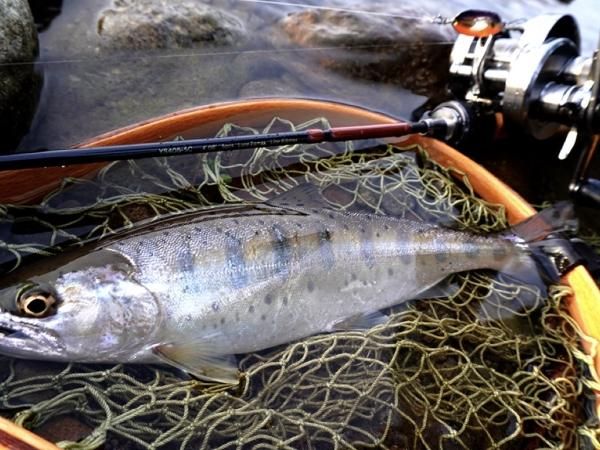 Huerco ルアーロッド HUERCO（フエルコ）×山波商店 コラボベイトロッド - STANDARD point