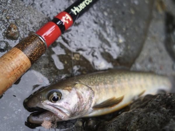 huerco NB360フエルコ テンカラロッド Amazon | Huerco フエルコ