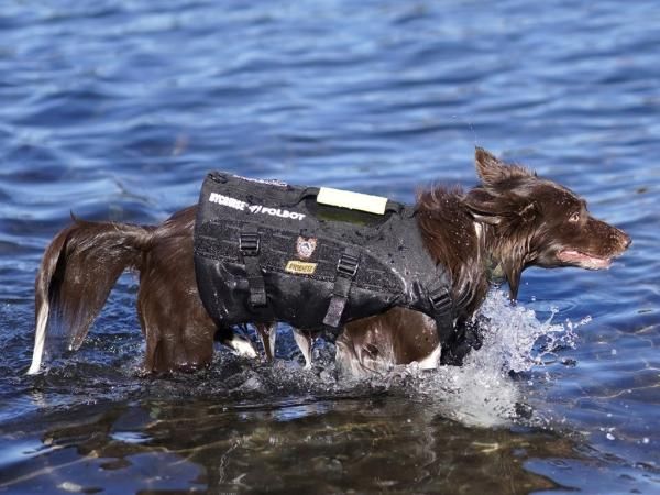全国総量無料で BYCRUISE(バイクルーズ) DOG for FOLBOT(フォルボット）TFD x ウェア