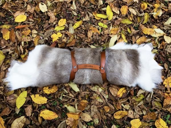 ビーバーの毛皮（Sサイズ） 楽天市場】ダーラム トナカイファー ワードS Dalum | トナカイ