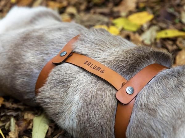 新品DALUM REINDEER FUR L ダーラム トナカイファー L DALUM REINDEER FUR WARD L / ダーラム トナカイファー ワード L