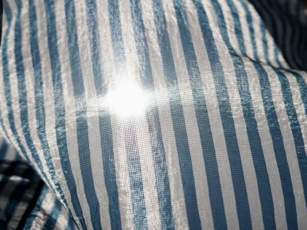迷迭香 MESH L/S SHIRT STRIPE - STANDARD point
