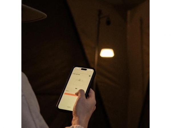CARGO CONTAINER REEL LIGHT PRO - STANDARD point