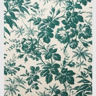 Gucci グッチ Smallcat D Shop Gucci グッチ Smallcat D Shop