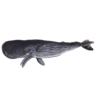 Sperm Whale Pillow / S 