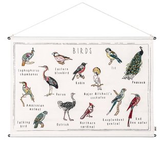 Numero74 / SCHOOL POSTER KIT / Birds