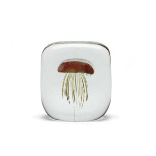 Jellyfish Paper Weight / Square
