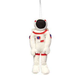 SILK ROAD BAZAAR / NASA Astronaut