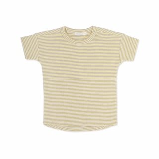 Phil&Phae / Rib tee s/s stripes / soft matcha stripes