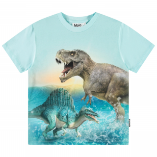 Molo / Roxo / Dino Splash