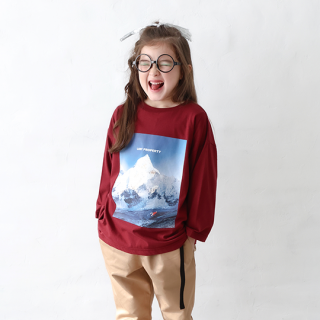 michirico / Snow mountain big T/ ܥɡ / XL