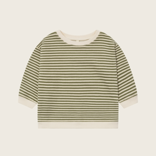 organic zoo / Fern Stripes Sweatshirt