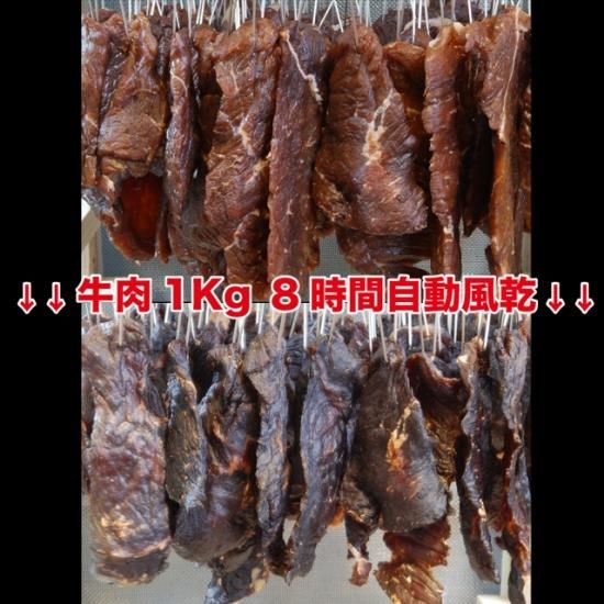 Ri Pro 自動風燥器 網棚6段自動風乾 大量ビーフジャーキー製造 トレイ 網10枚付き 送料無料