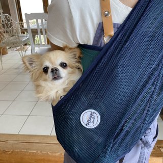 <img class='new_mark_img1' src='https://img.shop-pro.jp/img/new/icons14.gif' style='border:none;display:inline;margin:0px;padding:0px;width:auto;' />MESH DOG SLING