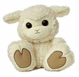 Baabsy Lamb