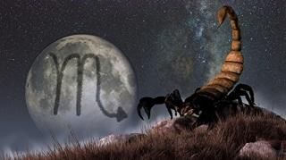 Scorpio Is the Eighth Astrological Sign of the ZodiacΥܥis the Scorpionݥץ