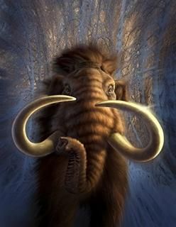 Full On View of a Woolly Mammoth Bursting Out of a snowy Wooded Backdropݥץ