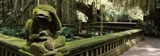 Panoramic Images  Statue of a monkey in a temple Bathing Temple Ubud Monkey Fore