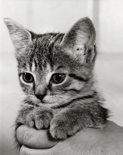 Person holding aǭݥ24?x 36