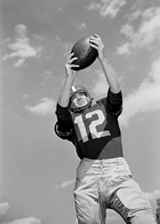 ٤Υӥ塼American Football Playerݥ24?x 36