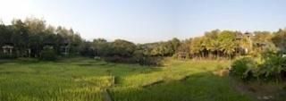Panoramic Images  Rice fields in front of villas Four Seasons Resort Chiang Mai 