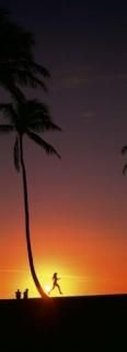 Panoramic Images  Silhouette of a woman running on the beach Magic Island Hawaii
