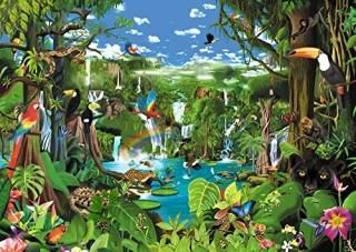 Magnificent Rainforestݥby Gerald Newton  18?x 12?