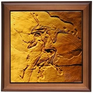 Kike Calvoжε̿??ArchaeopteryxThe Jurasicɥ??ե졼դ 8x8 Framed Tile ft_16