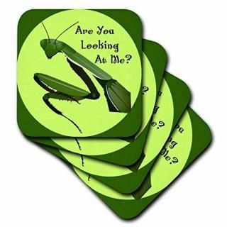 set-of-4-Soft - 3dRose cst_17311_1 Praying Mantis-Soft Coasters Set of 4