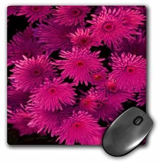 3dRose LLC 8 x 8 x 0.25 襤ԥ󥯥ե֡ޥѥå mp_20609_1