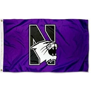 Northwestern Wildcatsե饰