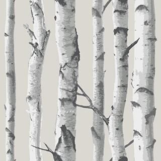 ŽäƤϤ륷ɻ NuWallpaper Birch Tree Peel And Stick Wallpaper / NU1650