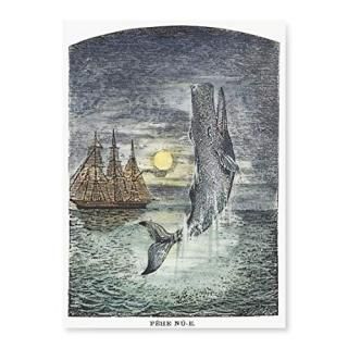 Melville Moby Dick 1800S Nthe Only Known Picture Of Moby Dick Drawn During Melvi