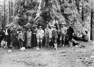 Roosevelt And Muir C1903 ΤΥɥ롼٥ȡ󥿡󡦥ߥ 󥰡ӡ The Foot Of A Re