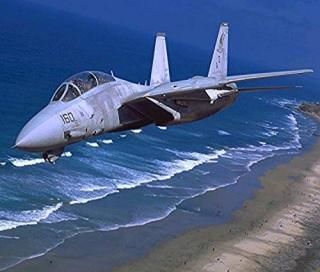 Posterazzi ݥץȥ쥯 F-14 ǥե˥ե롦å/ȥåȥåΥ᡼ξ֥ȥ७å 1