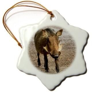 3drose Danita Delimont??David??Hogs??WarthogSafariå͡ܥĥʡեꥫ??Orname