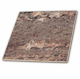CT _ 97956?ToryAnne쥯Granite??Juperana CremaܥɡGranite?? 12-Inch-Ceram