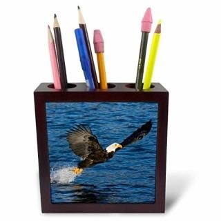 3drose Ph 87400?_ 1饹Kachemak٥ָࡢBald Eagle??us02?bja0277??󥺡꡼??