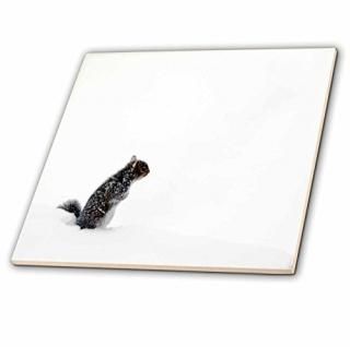 ӥХ꡼ʡꥹޥǥȼ̿??Little Squirrelߤ?? 4-Inch-Glass ct_62733_5