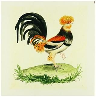 Floreneӥơ??1770?FrenchơRooster?? 12-Inch-Ceramic ct_62339_4