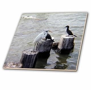 ӥХ꡼ʡĻ̿??White Egret at The Shore with Cormorants?? 4-Inch-Glass ct_77326