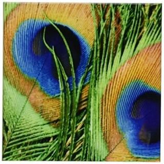 set-of-8-Ceramic - 3dRose cst_66288_4 Blue Green and Orange Coloured Peacock Fea